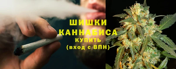 индика Лабытнанги