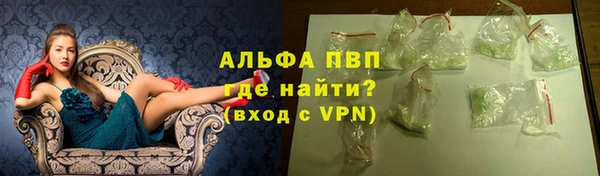 индика Лабытнанги