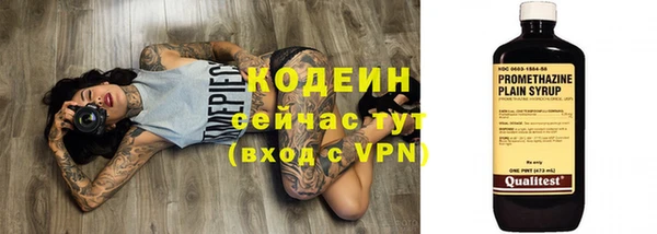 ECSTASY Липки