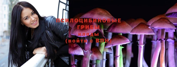 индика Лабытнанги