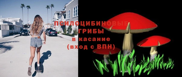 индика Лабытнанги