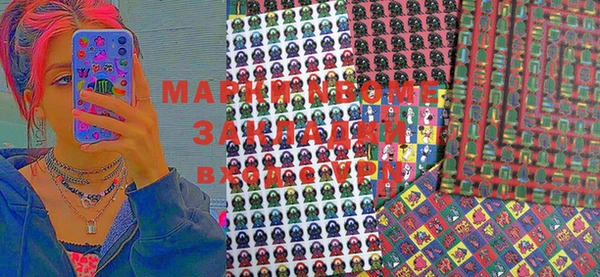 индика Лабытнанги