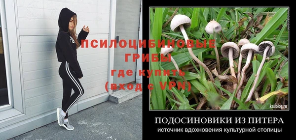крисы Ладушкин