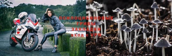 индика Лабытнанги