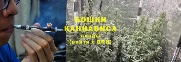 ECSTASY Липки