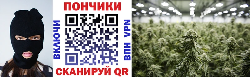Марихуана тримм  купить наркотик  darknet телеграм  Лихославль 